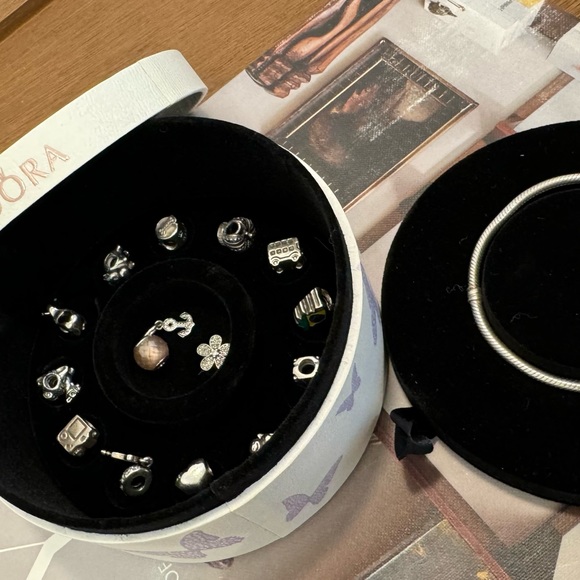 Pandora bracelet with 15 charms. - Picture 3 of 4